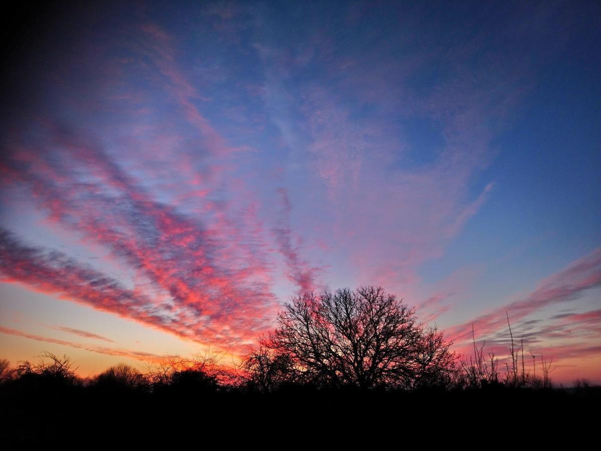 Bed and Breakfast La Mare Aux 3 Diables Fresney-le-Vieux Esterno foto